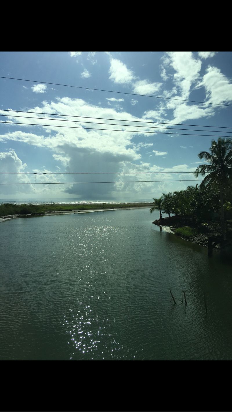 Puerto Jimenez (golfo Dulce), Costa Rica Image 1