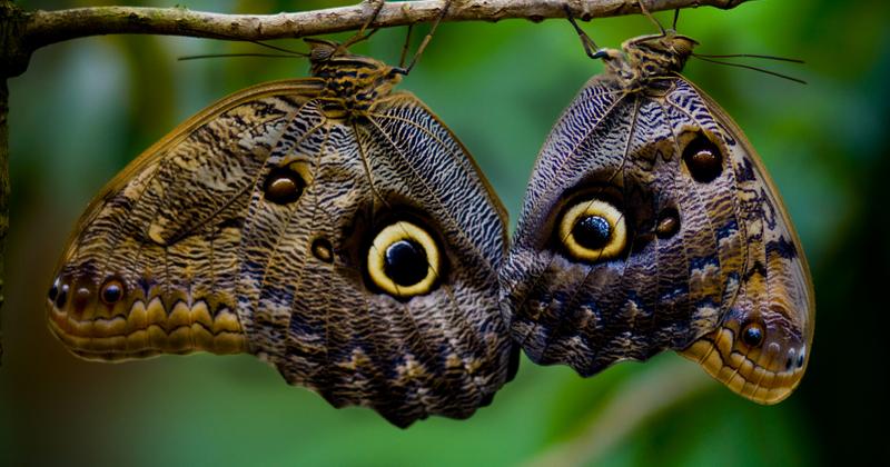 Puerto Quepos, Costa Rica