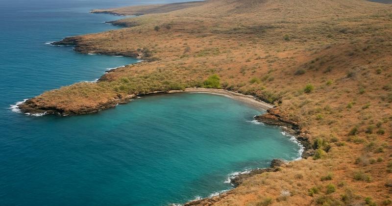 Santa Fe Island, Galapagos