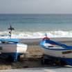 Savona