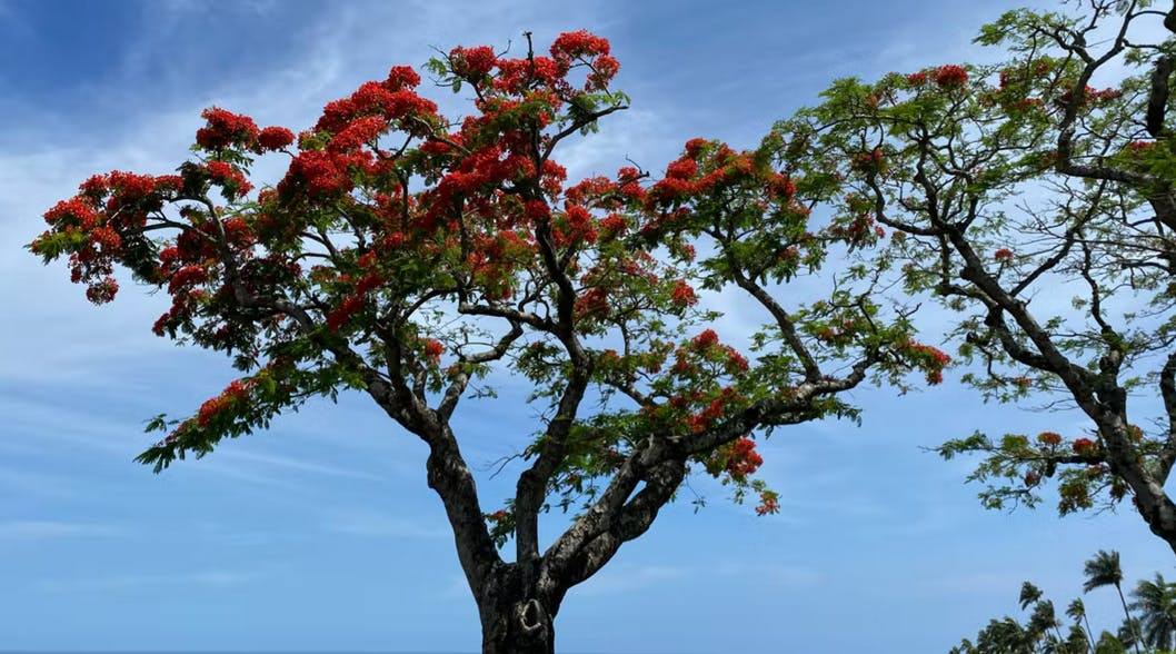 St. Denis, Reunion Island cruise port