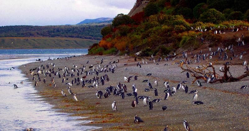 Ushuaia, Tierra Del Fuego, Argentina