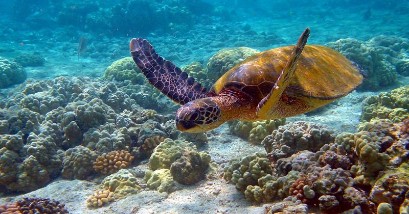 Tortola, British Virgin Islands