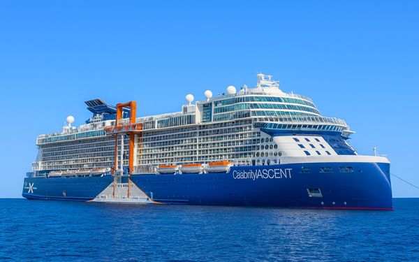 Celebrity Ascent