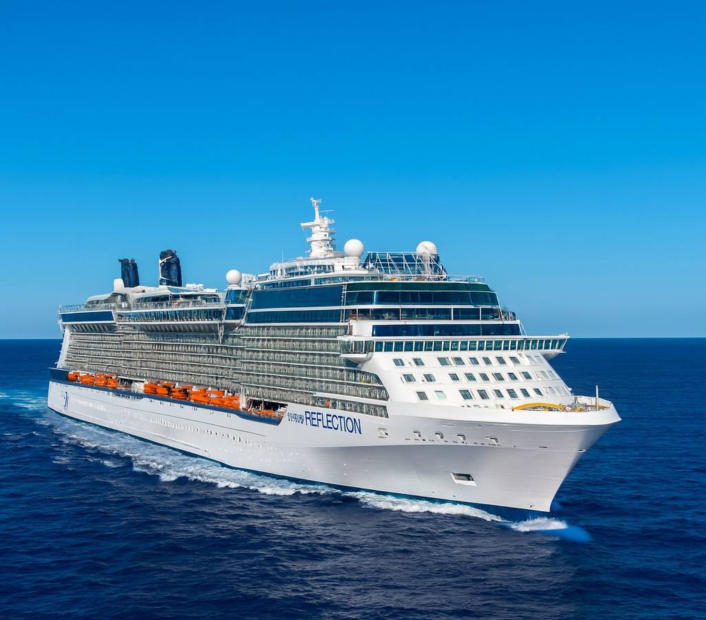 Celebrity Reflection