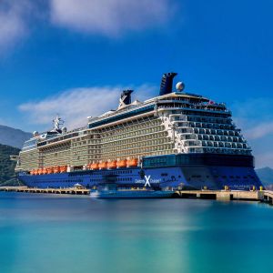 Celebrity Silhouette