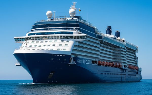 Celebrity Silhouette