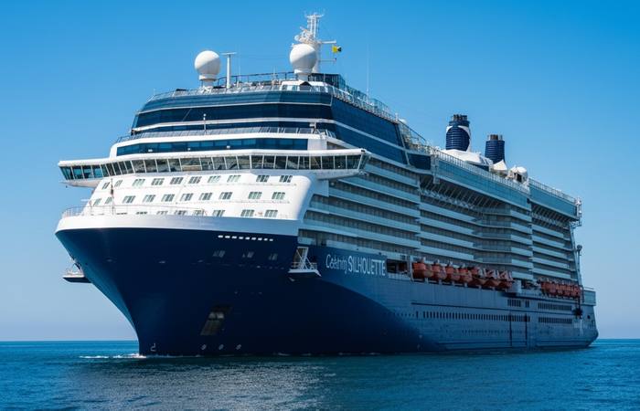 Celebrity Silhouette