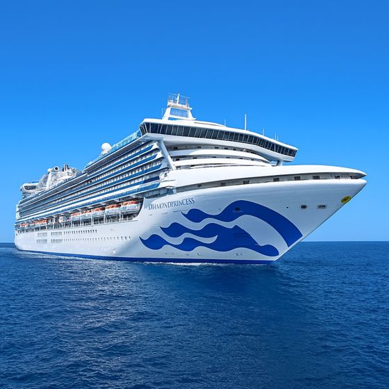 Diamond Princess at sea