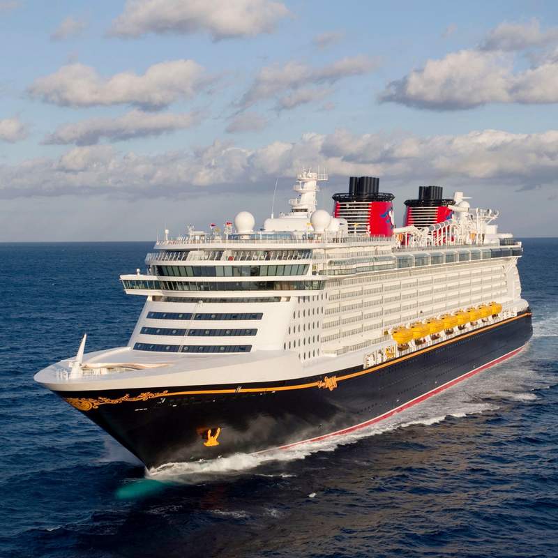 Disney Dream Size Infographic