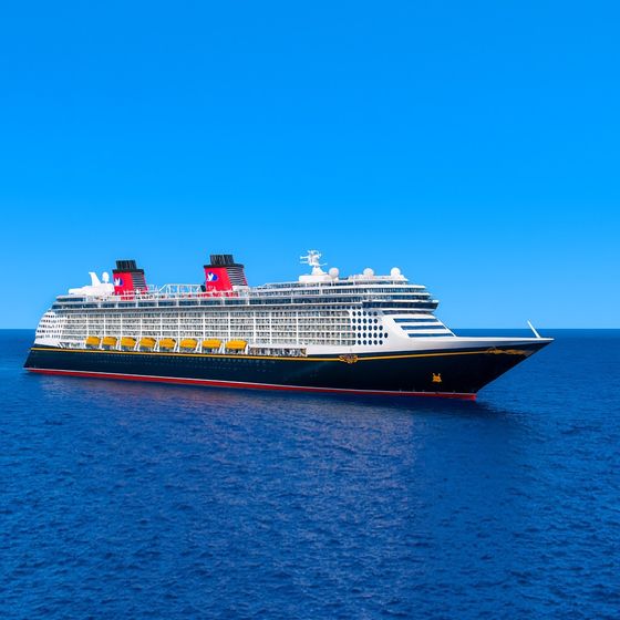 Disney Fantasy at sea