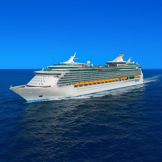 Freedom of the Seas at sea