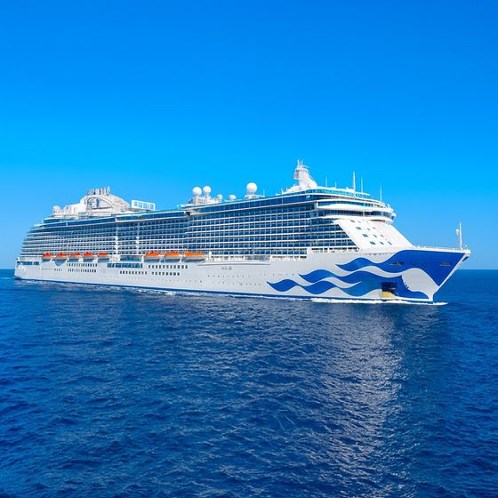 Majestic Princess at sea