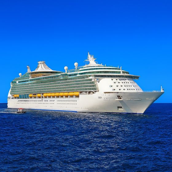 Navigator of the Seas at sea