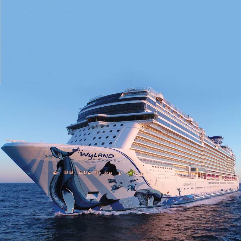 Norwegian Bliss Size Infographic