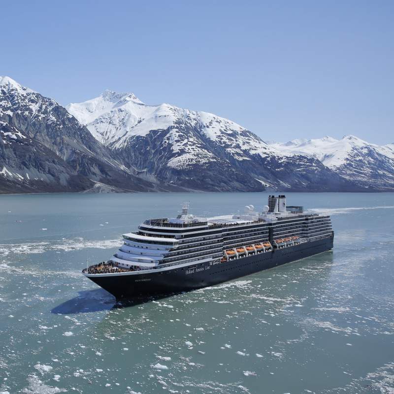 MS Westerdam Size Infographic