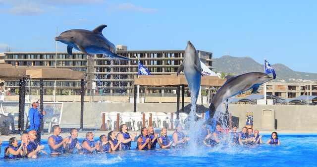 Dolphin Pool on the Carnival Valor