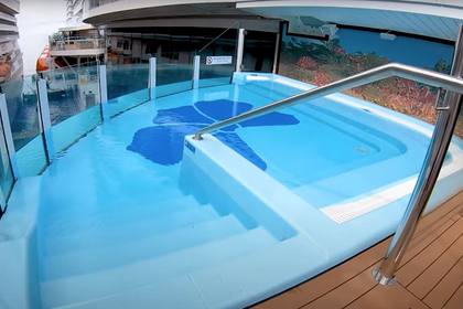 Havana Pool