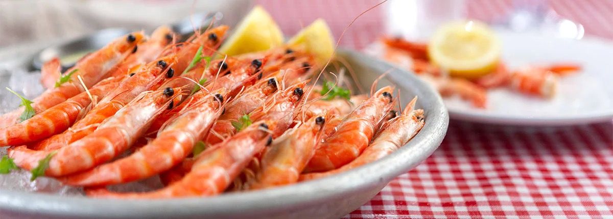 Seafood Shack on the Carnival Festivale