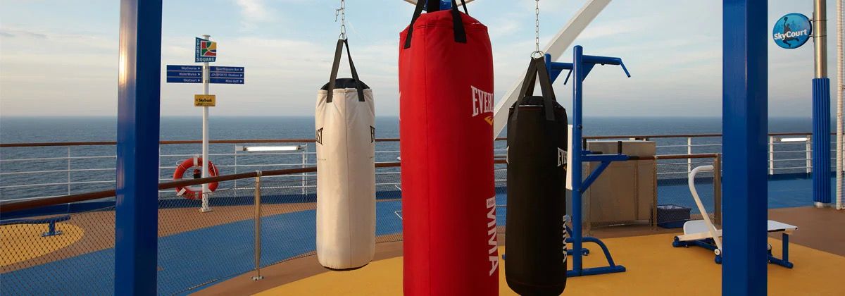 SkyFitness on the Carnival Magic