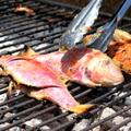Beagle Grill