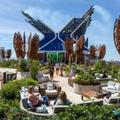 Rooftop Garden