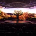 The Theater
