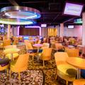 D Lounge