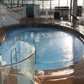 Daisy's Pool