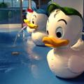 Nephew's Splash Zone