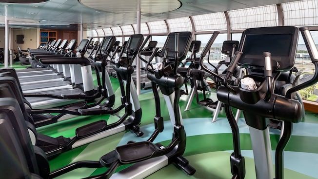 Senses Fitness Area on the Disney Dream