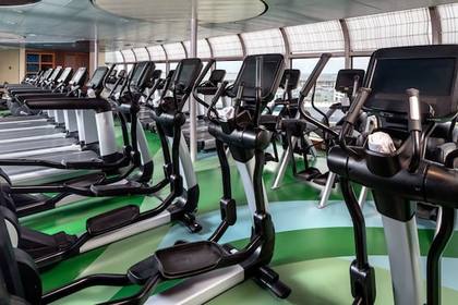Senses Fitness