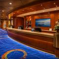 Future Cruise