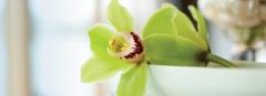 Greenhouse Spa Salon