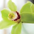 Greenhouse Spa Salon
