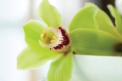Greenhouse Spa Salon