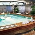 Hydro Pool