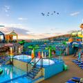License To Chill Pool