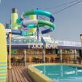 Tiki Bar Pool