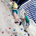 Rock Climbing Wall