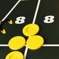 Shuffleboard Court