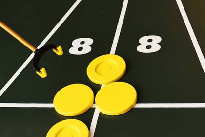 Shuffleboard Court