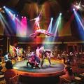 Spiegel Tent