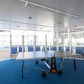 Ping Pong
