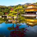 Japanese Garden