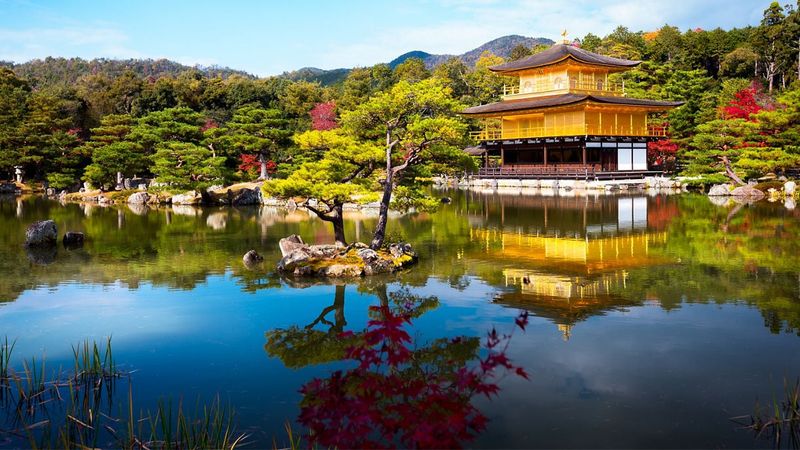 Japanese Garden on the Diamond Princess