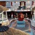 Lotus Bar