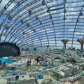 Skylight