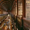 The Library