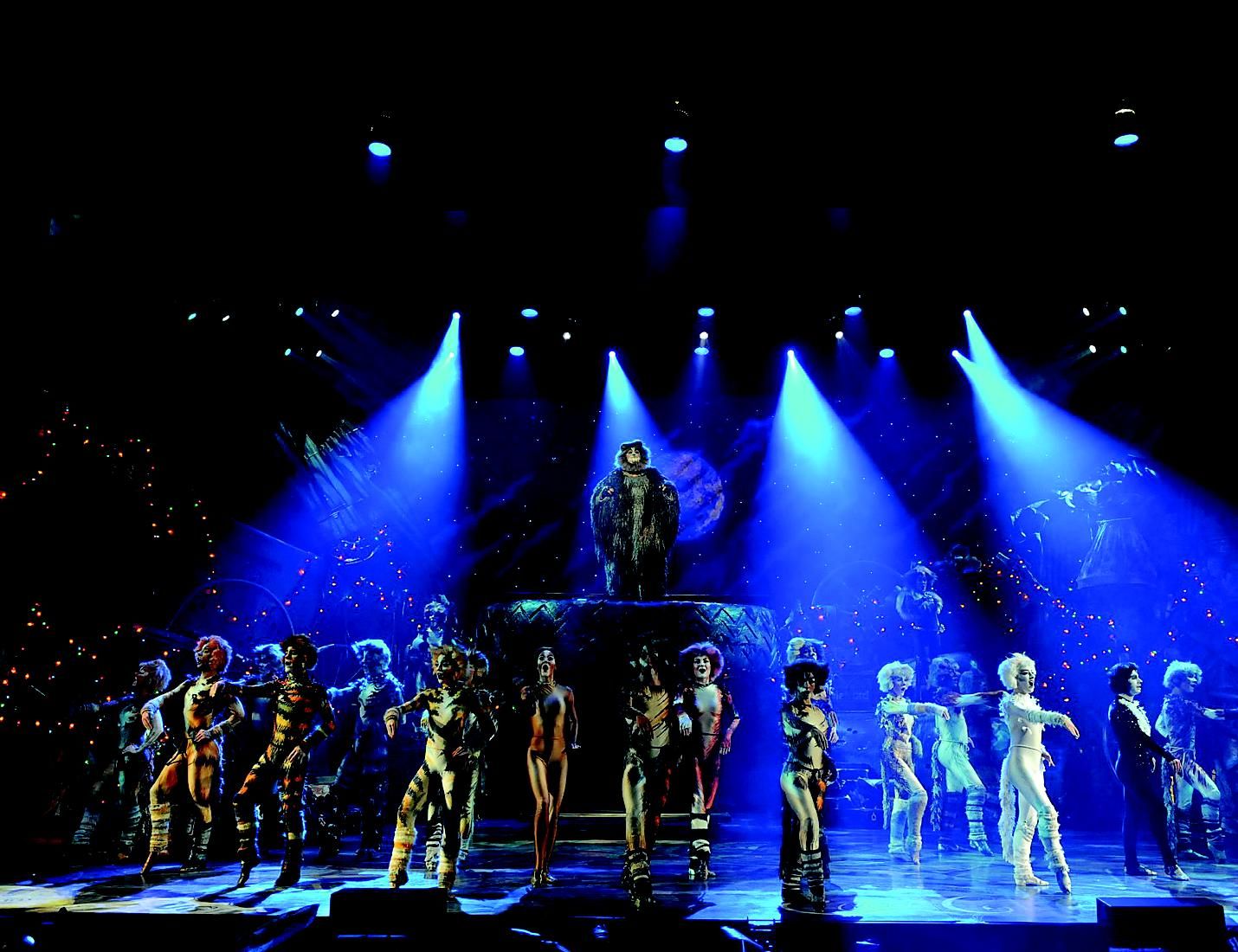 Cats - Oasis of the Seas Royal Caribbean Cruise Line